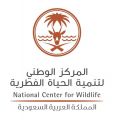 الحياة الفطرية” تؤكد: جراء الذئاب الرهيبة المعلن عن ولادتها مجرد ذئاب رمادية معدلة وراثيًا