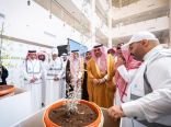 شركة أسمنت المنطقة الجنوبية تطلق مبادرة “البصمة الخضراء” بالشراكة مع جامعة الملك خالد لزراعة 8,000 شتلة