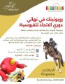 روبوثينك في نهائي دوري الاتحاد السعودي للفروسية!