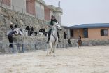 عدسات تلاحق الفرسان .. تفاعل وإبداع في ورشة تصوير الخيل