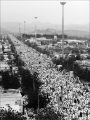 ريم الفيصل، من عمق الرمادي إلى إشراق الالوان