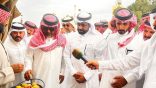 انطلاق مهرجان الرمان السادس بسراة عبيدة