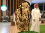 السعودية تشارك مع “53” دولة في اليوم العالمي للطيور المهاجرة وأثر البلاستيك عليها 