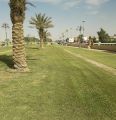 بلدية رفحاء تنفذ أعمال تكريب النخيل وتقليم الأشجار بالحدائق والشوارع لتحسين المشهد الحضري