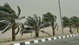 «الطقس» رياح نشطة على هذه المناطق