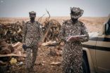 الأمن البيئي يضبط مخالفين باعوا حطبا محليا لأغراض تجارية