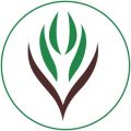 إنطلاق مهرجان مانجو أملج 2021