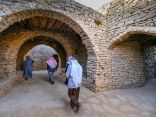 دومة الجندل.. تنوعٌ بيئي يجعلها وجهة سياحية