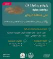 الدفاع المدني: عواصف رملية تؤثر على الرياض والشرقية