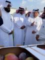 انطلاق فعاليات مهرجان الفرشة الثاني للمانجو بسراة عبيدة