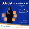 الشركة السعودية للكهرباء تُقدم 5 خدمات جديدة للمشتركين