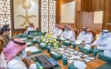 وكيل إمارة حائل يرأس الاجتماع الرابع للجنة العليا لمتابعة مكافحة سوسة النخيل الحمراء بالمنطقة