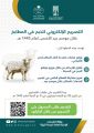 أمانة الاحساء تُطلق (التصاريح الالكترونية) لذبائح ” الأضحى” في المطابخ الاهلية