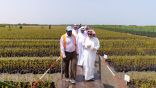 الرئيس التنفيذي يتفقد مواقع الغطاء النباتي وعددًا من المتنزهات الوطنية في منطقتي جازان وعسير