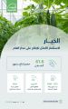 البيئة”: أكثر من 61.6 ألف طن الطاقة الإنتاجية للبيوت المحمية من محصول الخيار سنويًا ونستهدف تحقيق الاكتفاء الذاتي