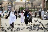 المدينة المنورة تستقبل زوارها من الداخل والخارج.. والأسواق تنتعش