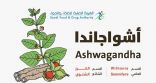 “أشواجاندا”.. تعرَّف على فوائدها في الطب البديل ومحاذير الإفراط في استخدامها