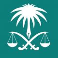 النيابة العامة: إيقاف ستة مواطنين تحرشوا بسائحة أجنبية