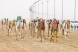 إثارة وندية حتى الأمتار الأخيرة في منافسات اليوم الثالث من مهرجان ولي العهد للهجن 3