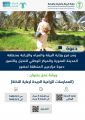 “زراعة المدينة” تنظم ورش عمل للممارسات الزراعية الجيدة لرعاية النخلة