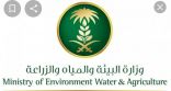 “البيئة” تفرض غرامات على أصحاب بحيرات صناعية ترفيهية تُملأ من آبار مياه جوفية