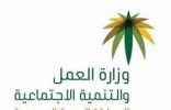 لجنة توطين الوظائف بنجران تتابع توطين نشاط بيع ألعاب الأطفال