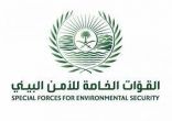 القوات الخاصة للأمن البيئي تضبط مخالفين لنظام البيئة لبيعهم حطبًا محليًا لأغراض تجارية