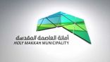 #أمانة_العاصمة_المقدسة تُطلق خدمة تصريح العربة المتنقلة غير الغذائية للمنشآت التجارية.