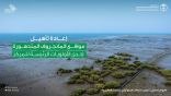 المركز الوطني لتنمية الغطاء النباتي ومكافحة التصحر يطلق مبادرة جمع البذور وزراعة أشجار المانجروف على شواطئ خليج تاروت