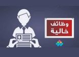 وظائف شاغرة في الإدارة العامة للأسلحة والمدخرات في وزارة الدفاع