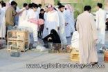 أمانة القصيم تغلق سوق الطيور و”مقاني الإبل” ببريدة احترازيًا