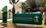 مدير عام فرع وزارة البيئة والمياه والزراعة بالشرقية يجتمع برؤساء القطاعات في مركز الوقاية من الآفات
