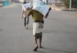 مركز الملك سلمان للإغاثة يوزع 1.506 أكياس من الأرز في مديرية المضاربة بمحافظة لحج