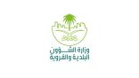 إعلان مسودة لائحة الاشتراطات الخاصة بنشاط التزيين النسائي