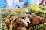 الغذاء والدواء” ترفض دخول أكثر من 12 ألف كيلو من الكمأ “الفقع”