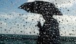 “الأرصاد”: هطول أمطار رعدية تصحب بزخات من البرد ورياح نشطة مثيرة للأتربة على نجران وجازان وعسير والباحة