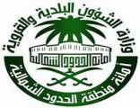 أمانة الحدود الشمالية تنفذ جولات رقابية صحية خلال عام 2020 م