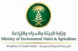 “البيئة” تستعيد 200 ألف متر² من التعديات على أراضي المراعي والغابات في عسير