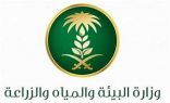 “البيئة” تطلق ضوابط جديدة لفتح المختبرات البيطرية الخاصة