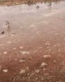 أمطار على مركزي خوعاء وعذفاء بالجوف