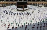 “الحج والعمرة” تكمل منظومة تحويل مؤسسات أرباب الطوافة إلى شركات مساهمة