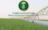 “البيئة” تستطلع آراء المستفيدين من قطاع الزراعة العضوية في أنحاء المملكة
