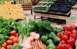 إغلاق 7 منشآت بمحافظة العيص لمخالفات الإجراءات الاحترازية