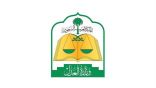 وزارة العدل: 5 خطوات لإضافة سند لأمر إلكتروني عبر منصة «نافذ»