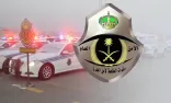 القوة الخاصة لأمن الطرق بمحافظة بيش تقبض على شخص لنقله 5 مخالفين لنظام أمن الحدود