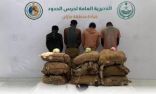 حرس الحدود بجازان يقبض على (4) مخالفين لنظام أمن الحدود لتهريبهم (75) كيلوجرامًا من نبات القات المخدر