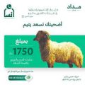 أكثر من 1200 أضحية تستفيد منها أسر جمعية “إنسان”