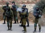 استشهاد فلسطيني برصاص قوات الاحتلال في الضفة الغربية
