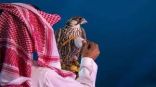صقار يُتوِّج خبرة 30 عاماً بطرح صقر الـ 100 ألف ريال