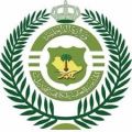 “مكافحة المخدرات” تقبض على شخصين بمحافظة الطائف لترويجهما (11) كيلوجرامًا من مادة الحشيش المخدر
